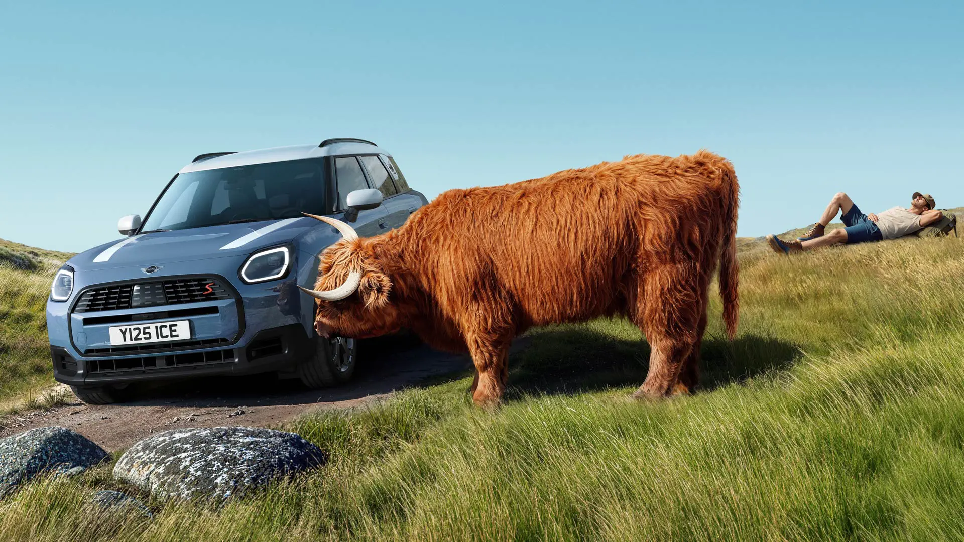 MINI Countryman sõidab mööda rahulikult rohtu söövast lehmast. Ennetava hooldusega tegeleme meie muredega ja sina sõidad.