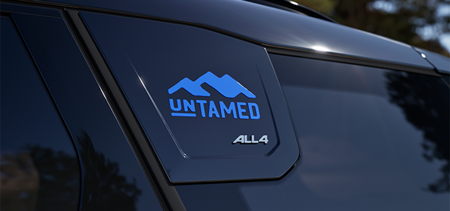 Pilt MINI Countryman Untamed Editioni C-piilarist.